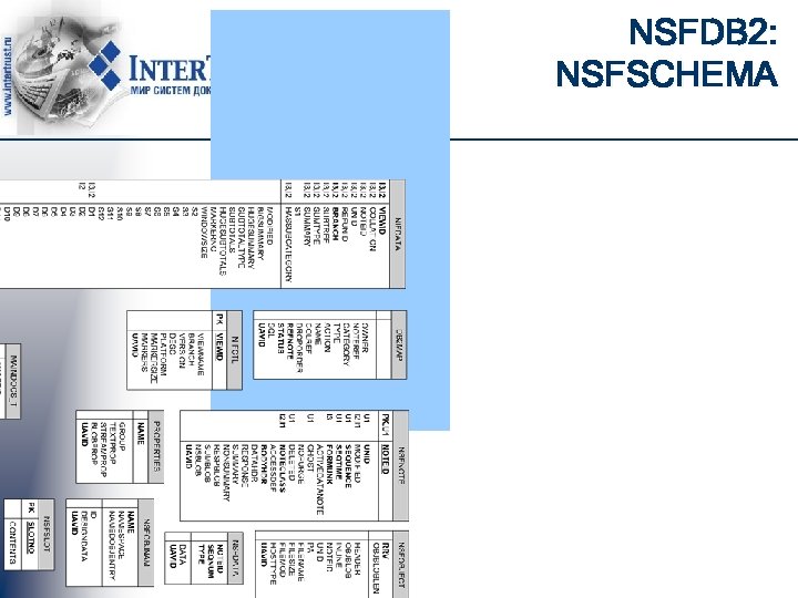 NSFDB 2: NSFSCHEMA 