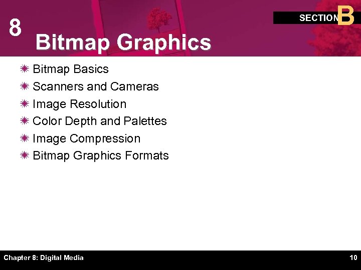 8 B SECTION Bitmap Graphics ï Bitmap Basics ï Scanners and Cameras ï Image