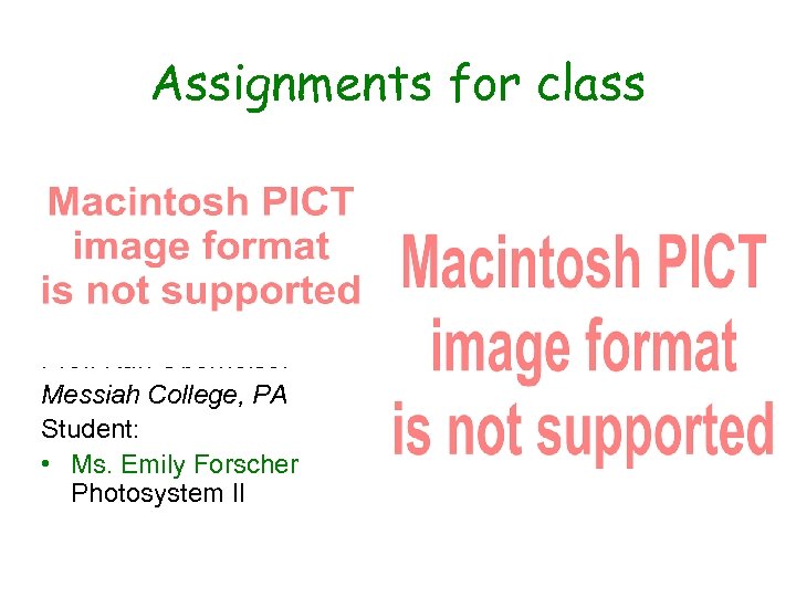 Assignments for class Prof. Karl Oberholser Messiah College, PA Student: • Ms. Emily Forscher