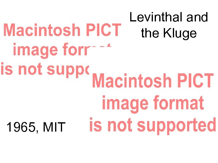 Levinthal and the Kluge 1965, MIT 