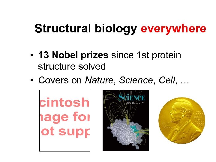 Structural biology everywhere • 13 Nobel prizes since 1 st protein structure solved •