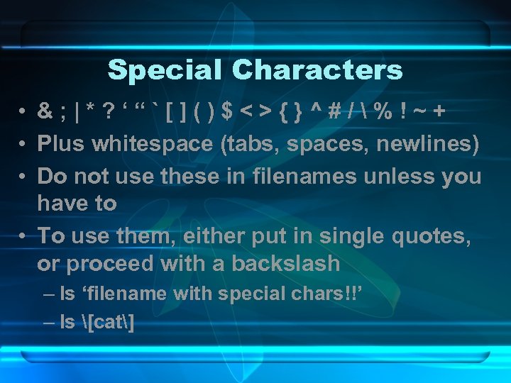 Special Characters • &; |*? ‘“`[]()$<>{}^#/%!~+ • Plus whitespace (tabs, spaces, newlines) • Do