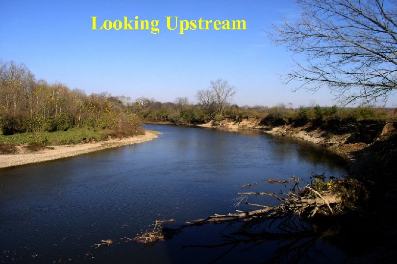 Looking Upstream 