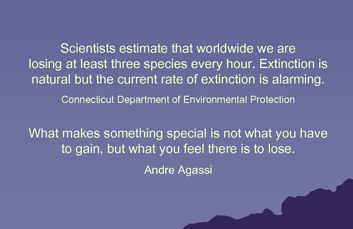 Scientists estimate that worldwide we are losing at least three species every hour. Extinction