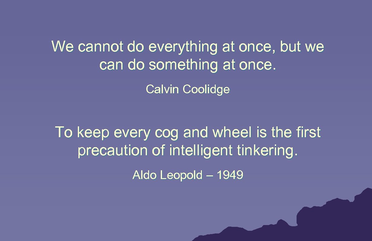 We cannot do everything at once, but we can do something at once. Calvin
