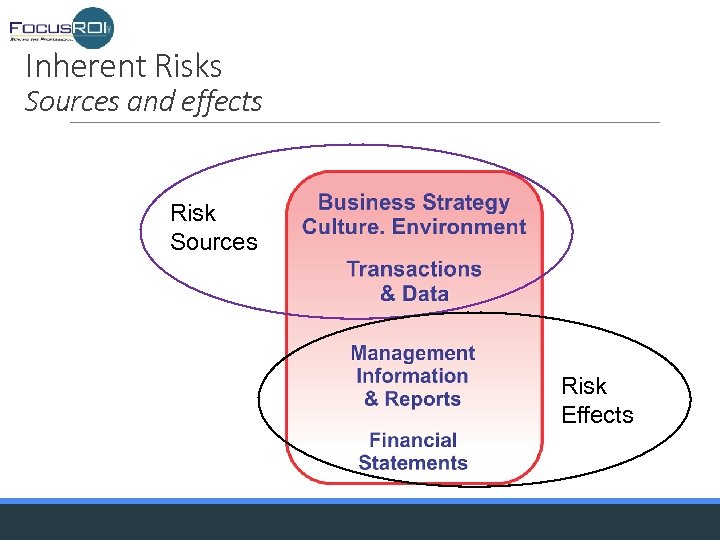 Inherent Risks Sources and effects Risk Sources Risk Effects 