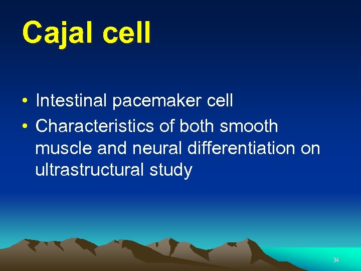 Cajal cell • Intestinal pacemaker cell • Characteristics of both smooth muscle and neural
