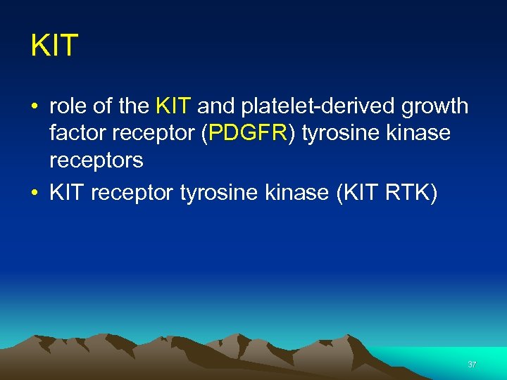KIT • role of the KIT and platelet-derived growth factor receptor (PDGFR) tyrosine kinase