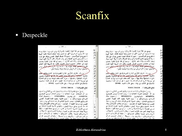 Scanfix § Despeckle Before Bibliotheca Alexandrina After 8 