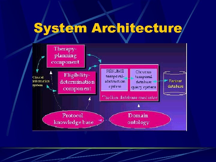 System Architecture 