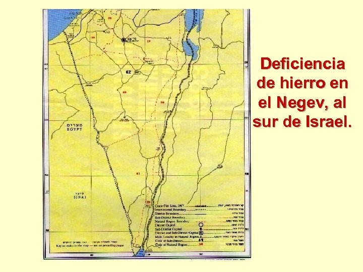 Deficiencia de hierro en el Negev, al sur de Israel. 