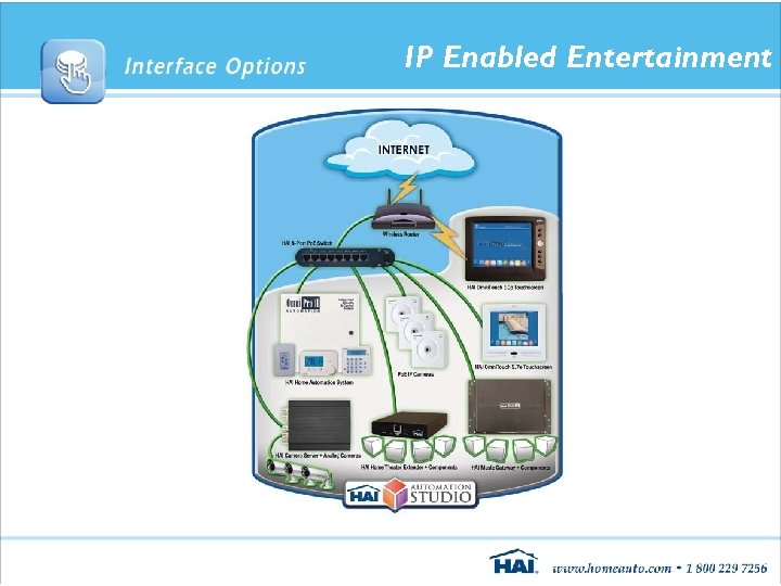 IP Enabled Entertainment 