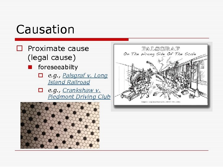 Causation o Proximate cause (legal cause) n foreseeabilty o e. g. , Palsgraf v.