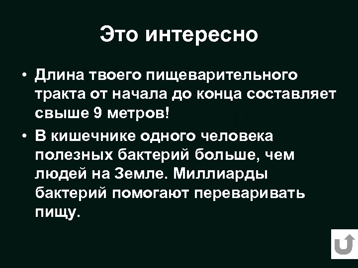 Это интересно • Длина твоего пищеварительного тракта от начала до конца составляет свыше 9