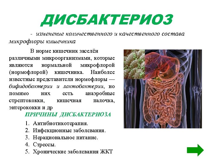 ДИСБАКТЕРИОЗ - изменение количественного и качественного состава микрофлоры кишечника В норме кишечник заселён различными