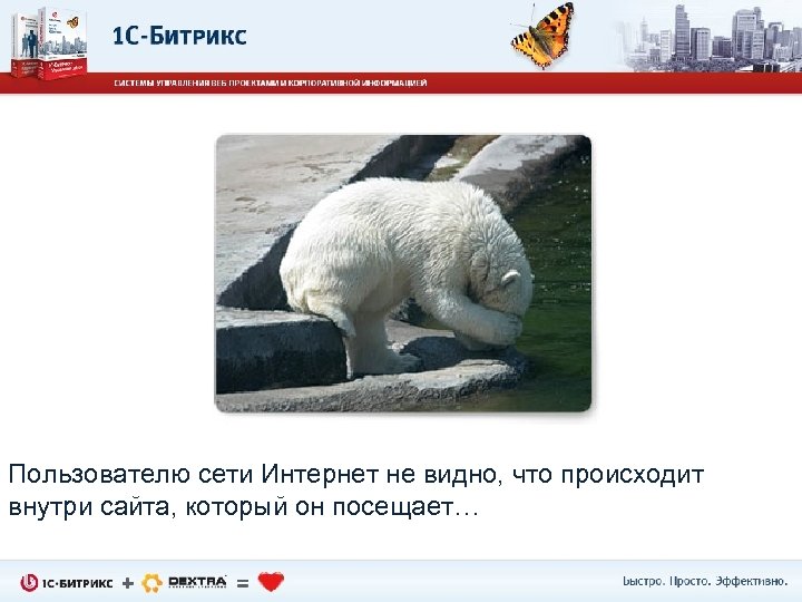Пользователю сети Интернет не видно, что происходит внутри сайта, который он посещает… 