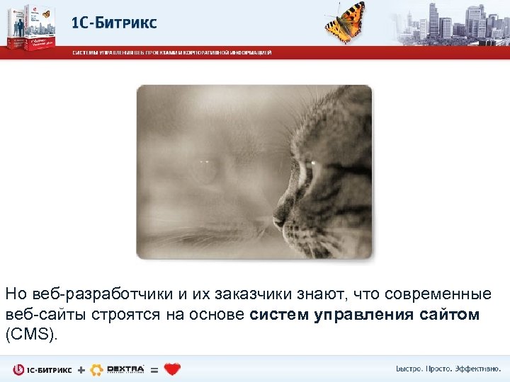 Но веб-разработчики и их заказчики знают, что современные веб-сайты строятся на основе систем управления