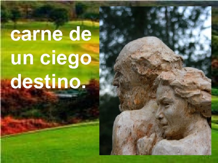 carne de un ciego destino. 