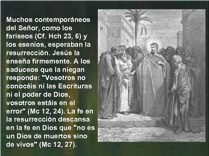 Muchos contemporáneos del Señor, como los fariseos (Cf. Hch 23, 6) y los esenios,