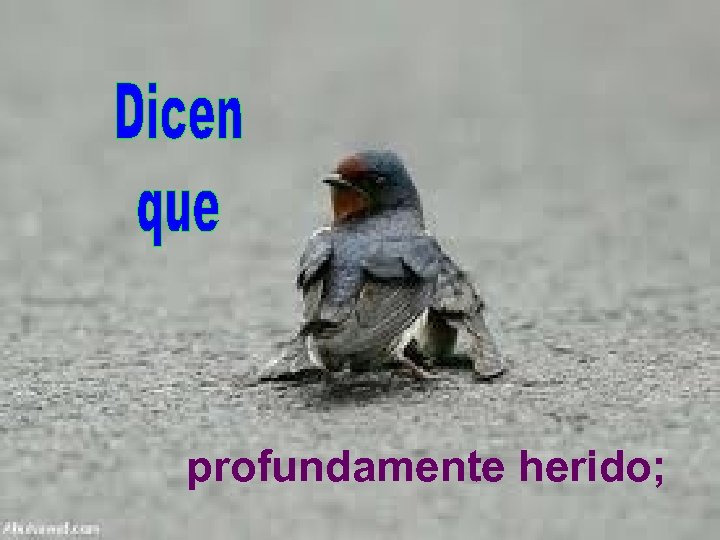 profundamente herido; 