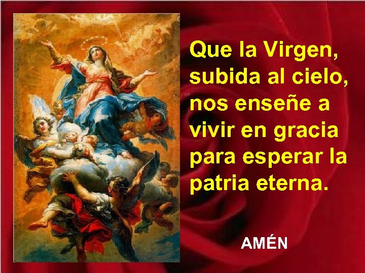 Que la Virgen, subida al cielo, nos enseñe a vivir en gracia para esperar