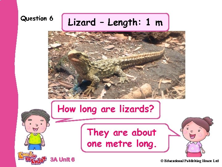 Question 6 Lizard – Length: 1 m How long are lizards? They are about