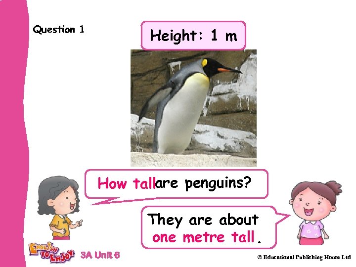 Question 1 Height: 1 m How tallare penguins? They are about one metre tall.