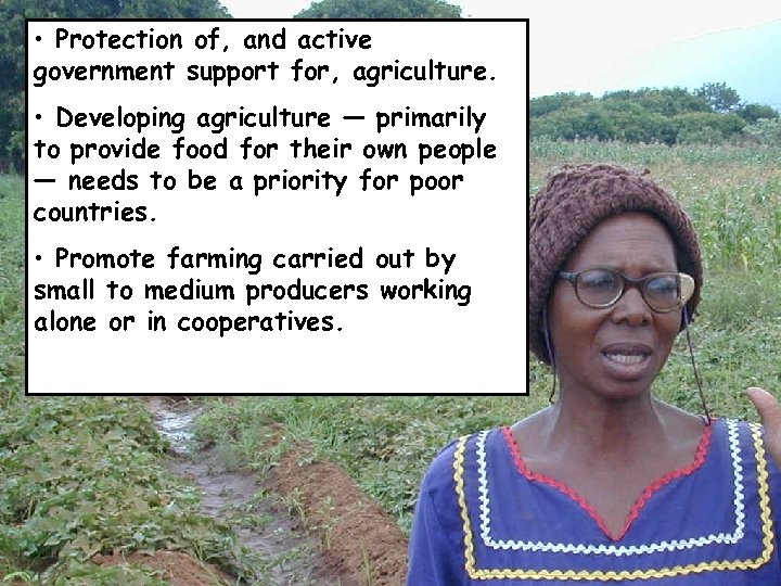  • Protection of, and active government support for, agriculture. • Developing agriculture —