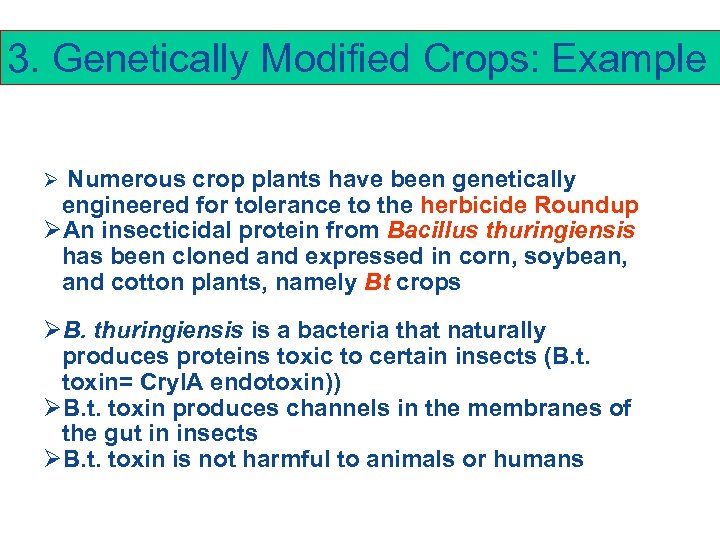 3. Genetically Modified Crops: Example Ø Numerous crop plants have been genetically engineered for