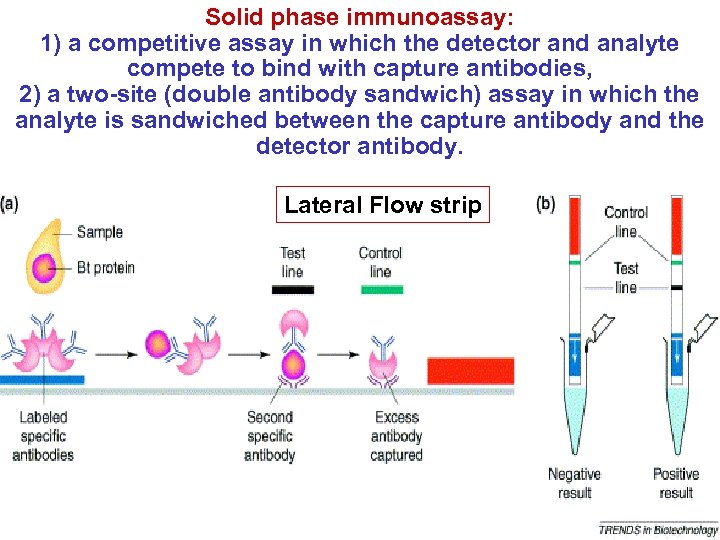 Solid phase immunoassay: 1) a competitive assay in which the detector and analyte compete