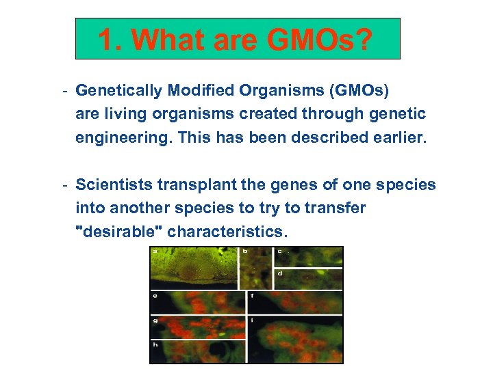 1. What are GMOs? - Genetically Modified Organisms (GMOs) are living organisms created through