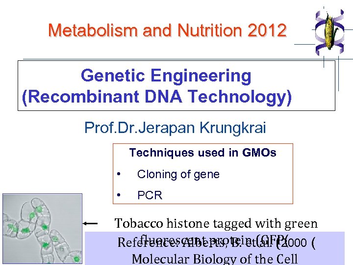 Metabolism and Nutrition 2012 Genetic Engineering (Recombinant DNA Technology) - Prof. Dr. Jerapan Krungkrai