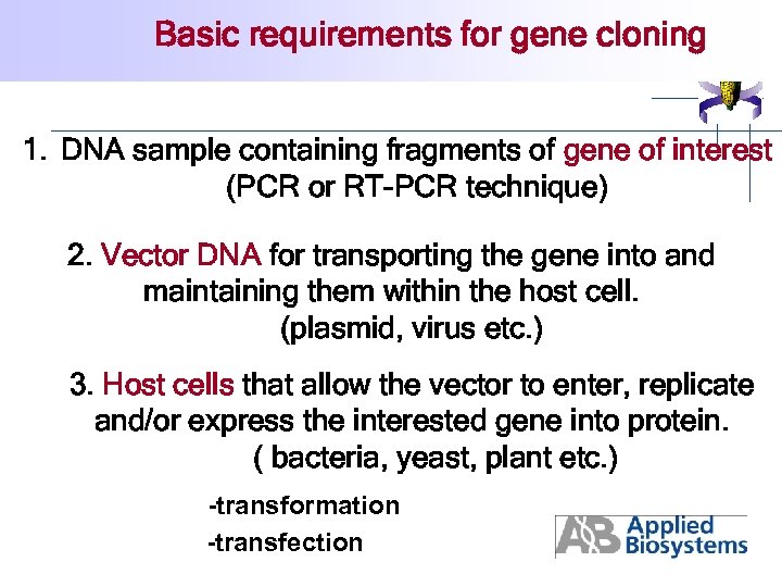 Basic requirements for gene cloning 1. DNA sample containing fragments of gene of interest