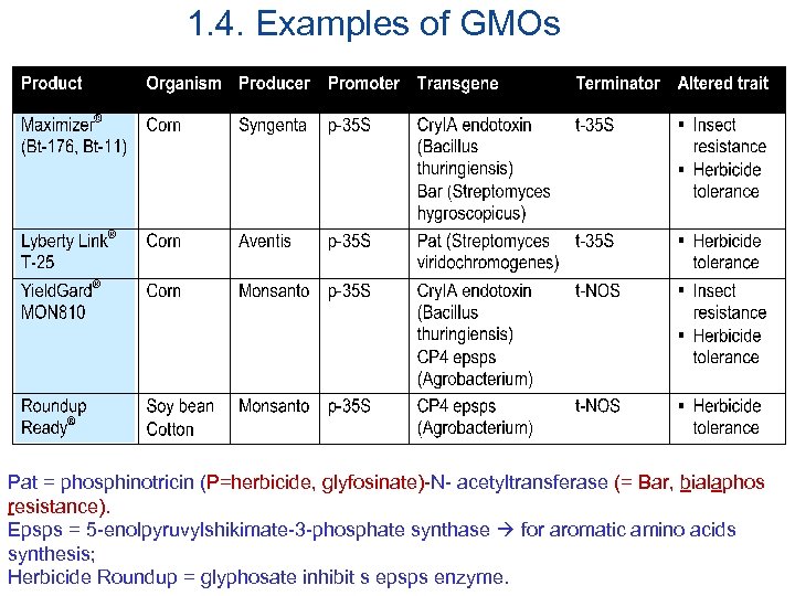 1. 4. Examples of GMOs Pat = phosphinotricin (P=herbicide, glyfosinate)-N- acetyltransferase (= Bar, bialaphos