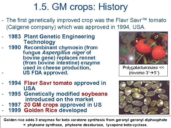 1. 5. GM crops: History - The first genetically improved crop was the Flavr
