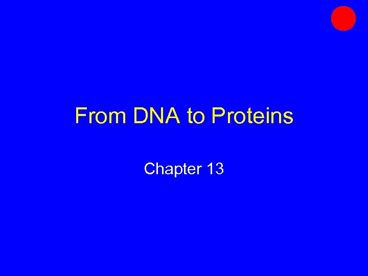 From DNA to Proteins Chapter 13 