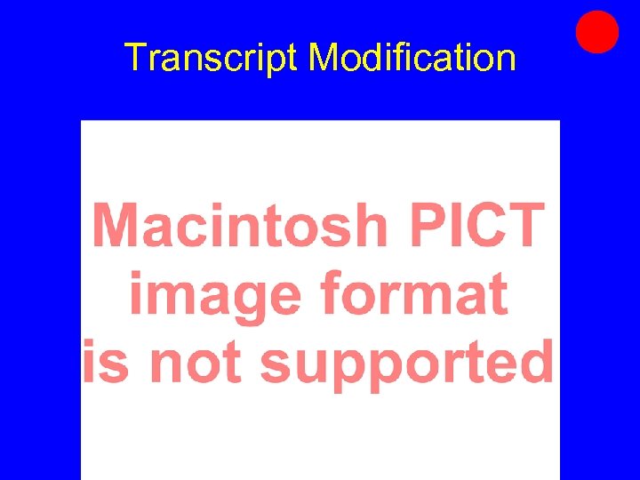 Transcript Modification 