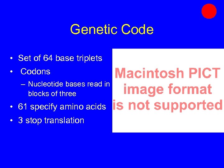 Genetic Code • Set of 64 base triplets • Codons – Nucleotide bases read