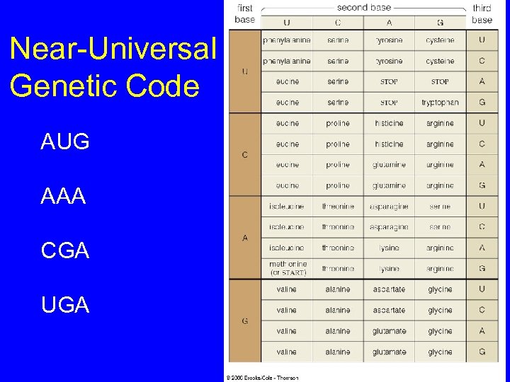 Near-Universal Genetic Code AUG AAA CGA UGA 