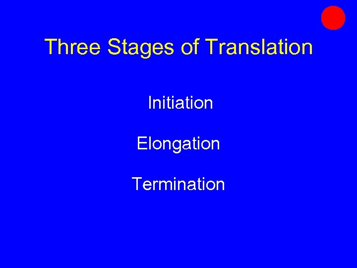Three Stages of Translation Initiation Elongation Termination 