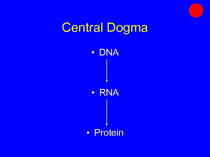 Central Dogma • DNA • RNA • Protein 