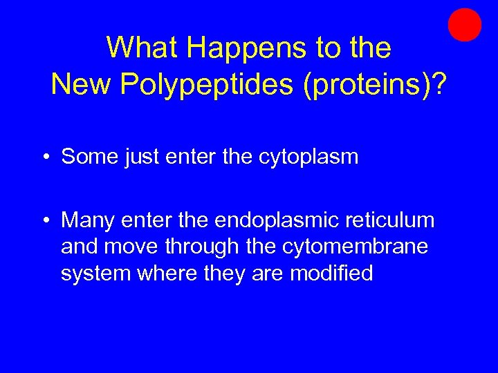 What Happens to the New Polypeptides (proteins)? • Some just enter the cytoplasm •