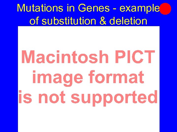Mutations in Genes - example of substitution & deletion 