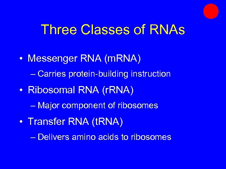 Three Classes of RNAs • Messenger RNA (m. RNA) – Carries protein-building instruction •