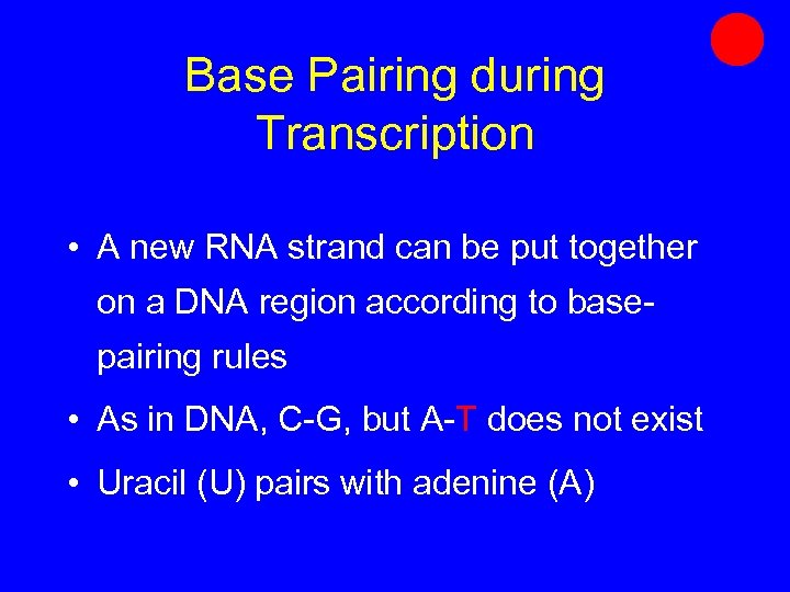 Base Pairing during Transcription • A new RNA strand can be put together on