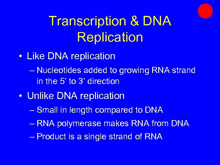 Transcription & DNA Replication • Like DNA replication – Nucleotides added to growing RNA