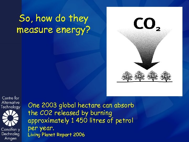 So, how do they measure energy? One 2003 global hectare can absorb the CO