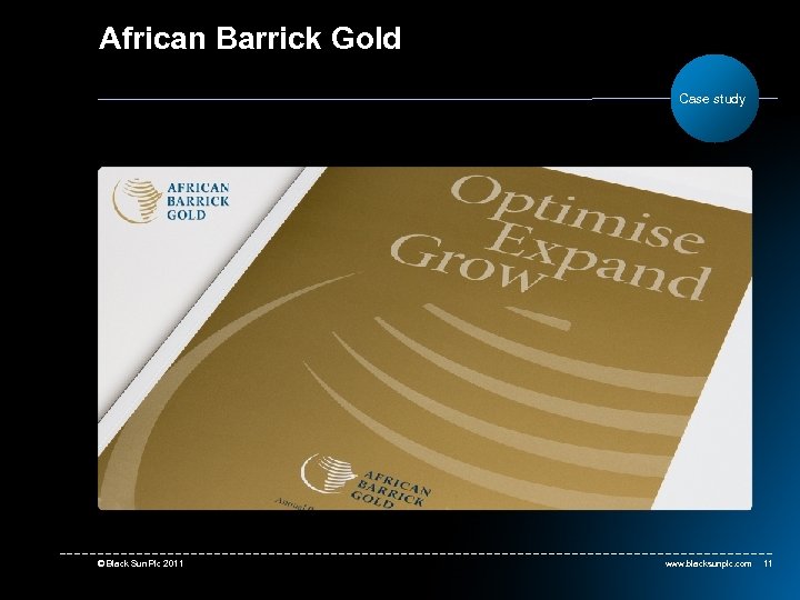 African Barrick Gold Case study © Black Sun Plc 2011 www. blacksunplc. com 11