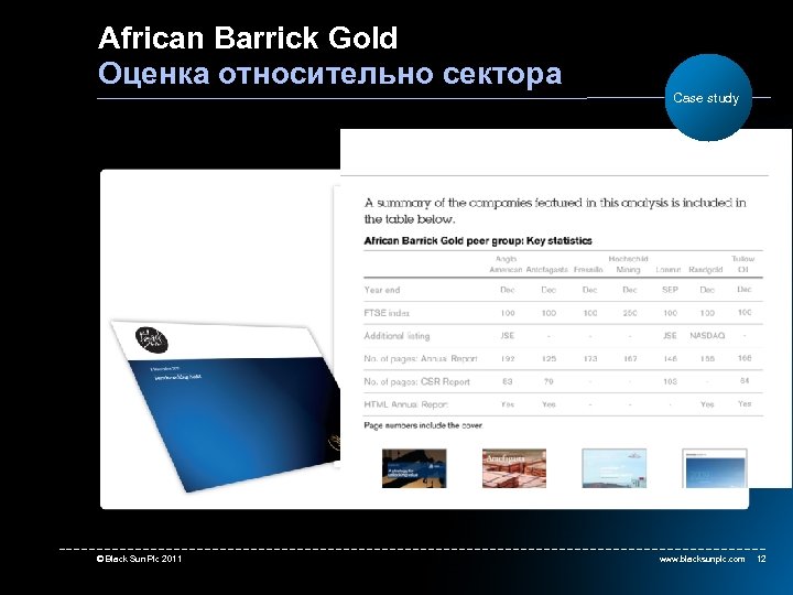 African Barrick Gold Оценка относительно сектора © Black Sun Plc 2011 Case study www.