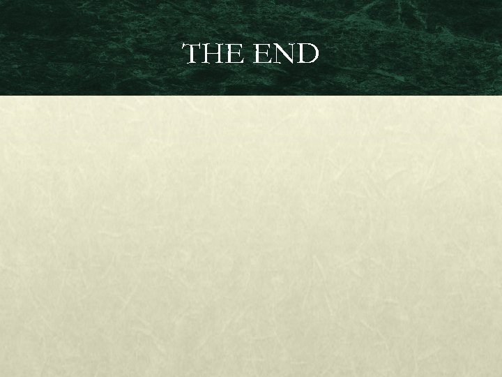 THE END 